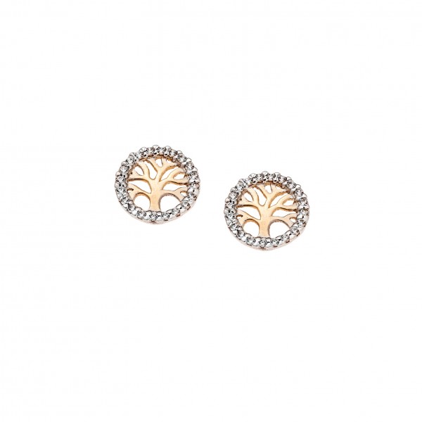 14carats gold earrings with zircon