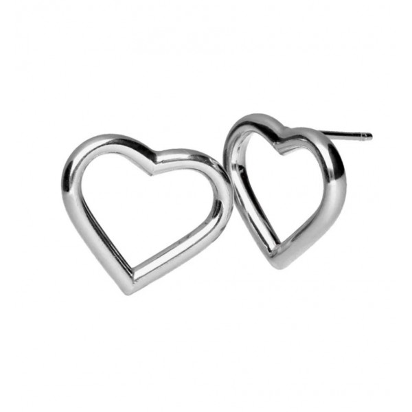 Victoria Cruz Earrings in 925 Silver