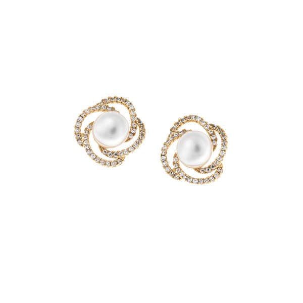 Earrings in Silver 925 