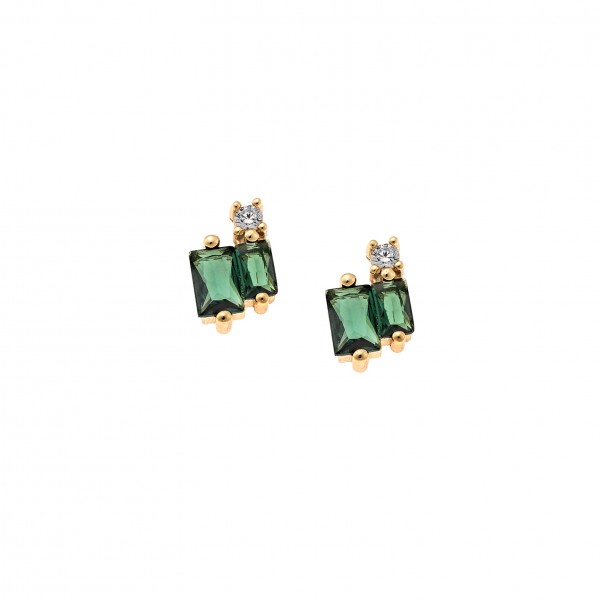 Earrings in Silver 925 