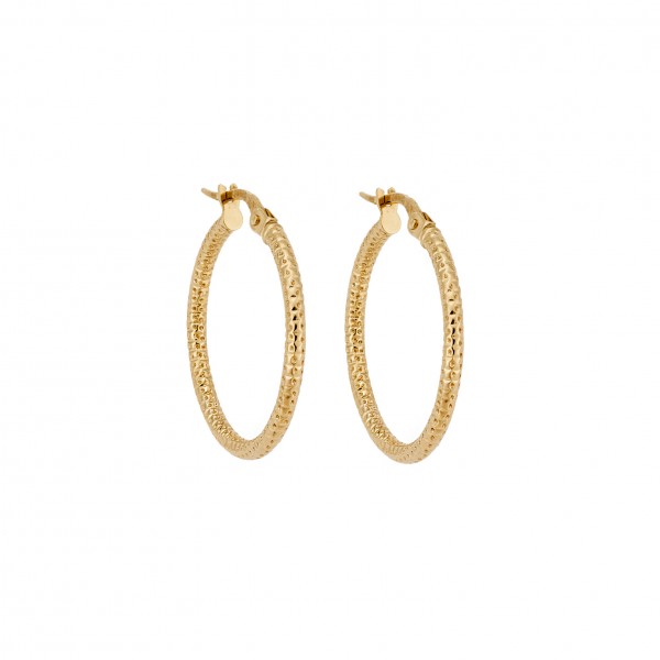 14 Carat Hoop Earrings in Gold