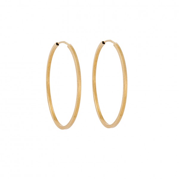 14 Carat Hoop Earrings in Gold