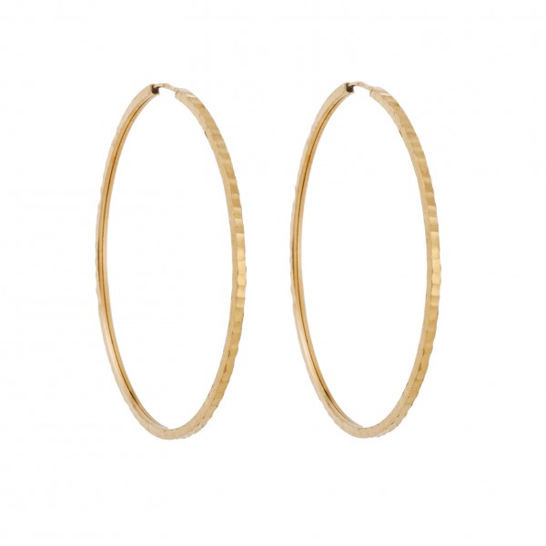 14 Carat Hoop Earrings in Gold