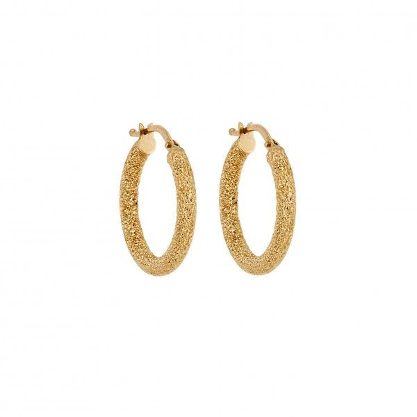 14 Carat Hoop Earrings in Gold
