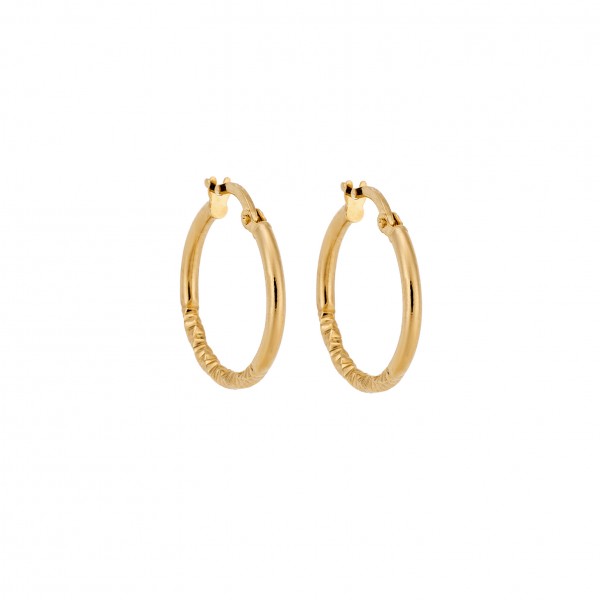 14 Carat Hoop Earrings in Gold