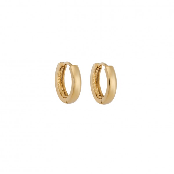 14 Carat Hoop Earrings in Gold