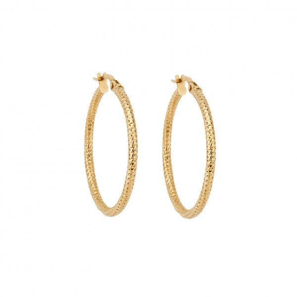 14 Carat Hoop Earrings in Gold