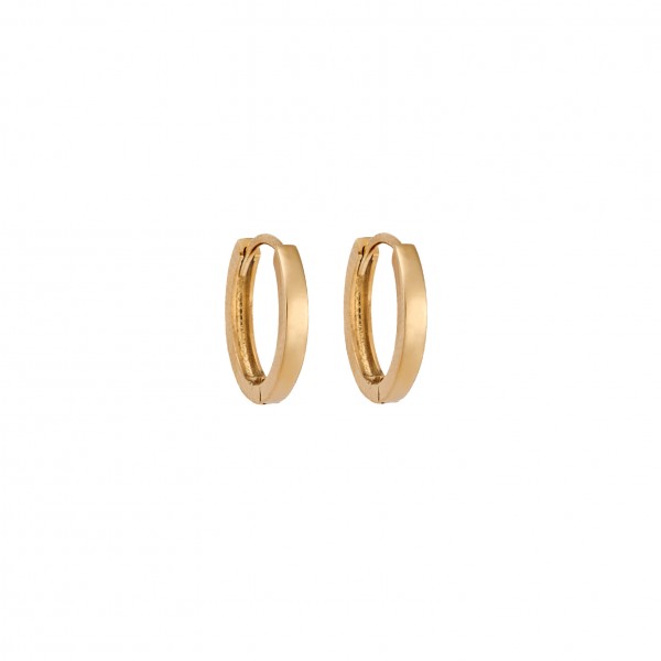 14 Carat Hoop Earrings in Gold