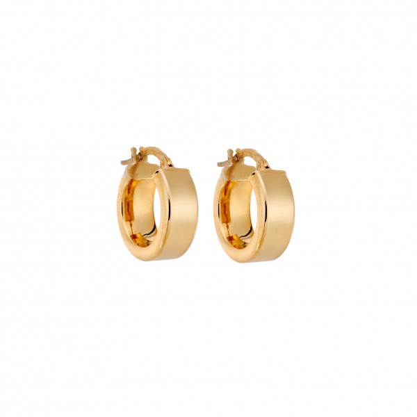 14 Carat Hoop Earrings in Gold