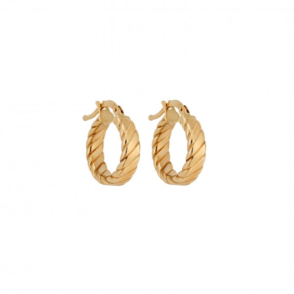 14 Carat Hoop Earrings in Gold