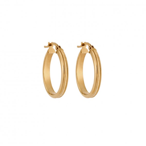 14 Carat Hoop Earrings in Gold