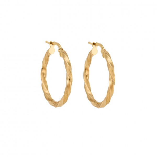 14 Carat Hoop Earrings in Gold