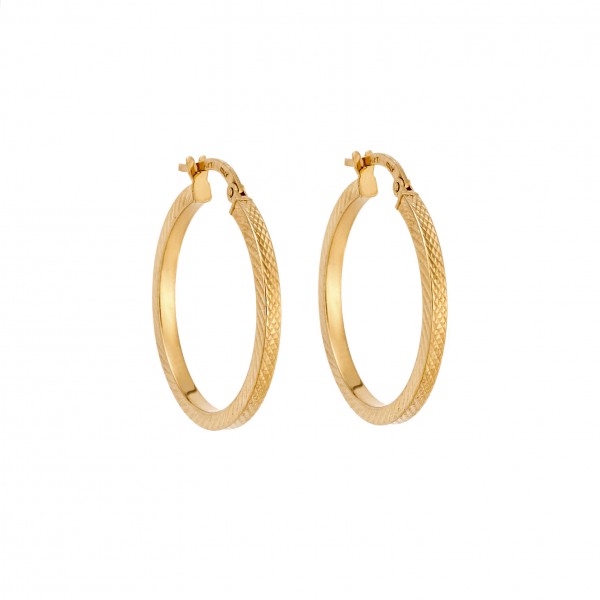 14 Carat Hoop Earrings in Gold