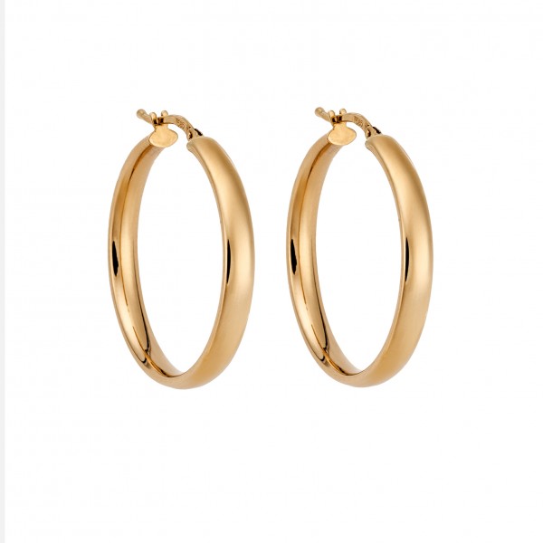 14 Carat Hoop Earrings in Gold