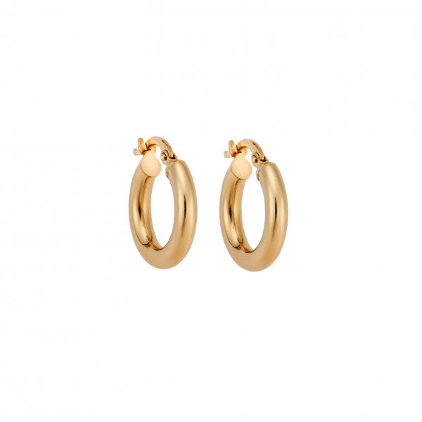 14 Carat Hoop Earrings in Gold