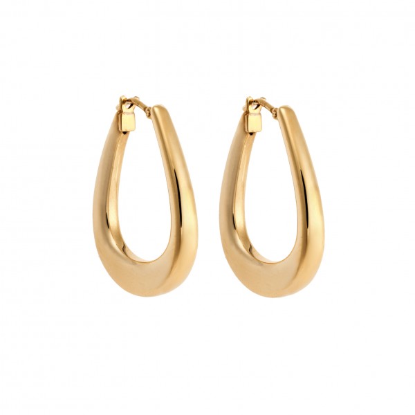 14 Carat Hoop Earrings in Gold