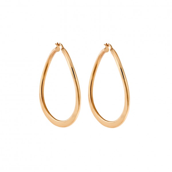 14 Carat Hoop Earrings in Gold
