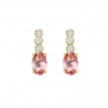 Victoria Cruz Earrings in Silver 925 with Swarovski