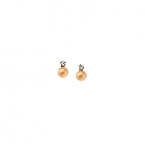 Earrings in 9-carat gold with zircon 
